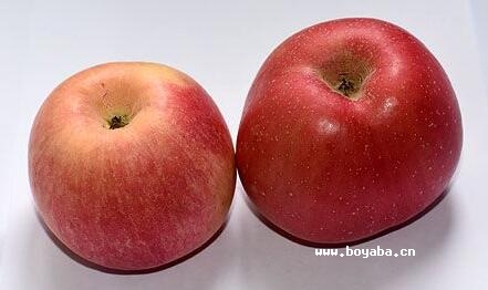 tO.jpg