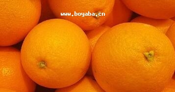 ǭ(yng)ǳ