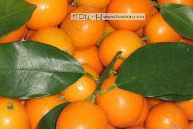 悺