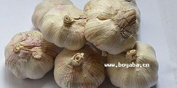 ִ^