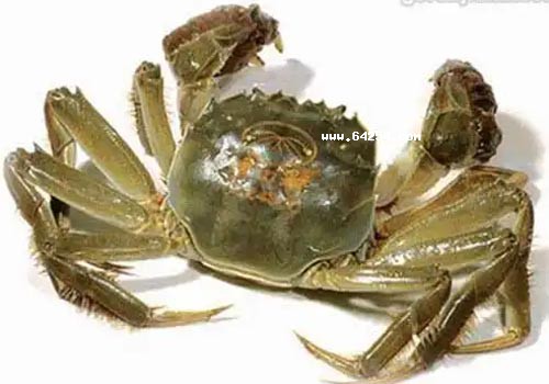 ϲʮخaа