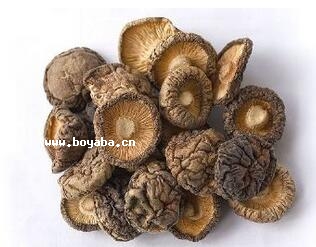 曾都干香菇