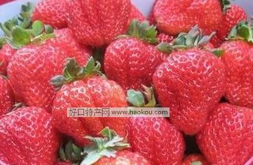 ۿhݮ.jpg