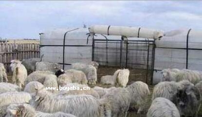 ʯǲ