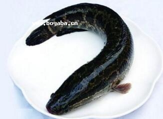 Ǣk