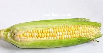 rʳ