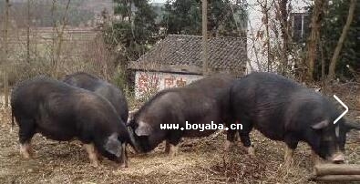 կëi.jpg