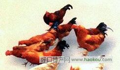 Tu
