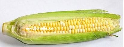 ʯTɽŴ
