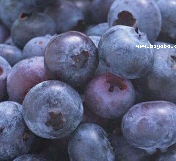 Ұ{ݮ