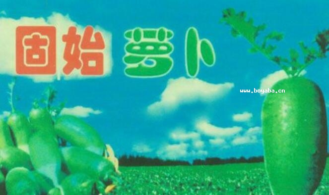 ʼ}.jpg