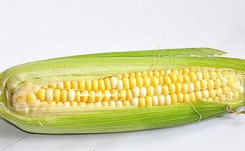 Ŵ.jpg