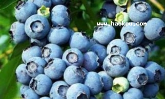 W{ݮ