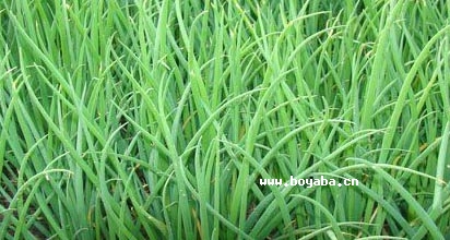 С[