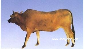 Sţ