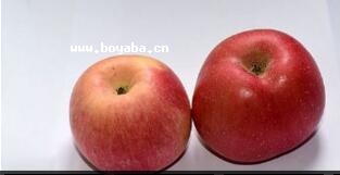 γO
