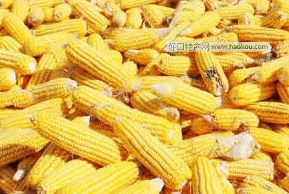 Vƽ