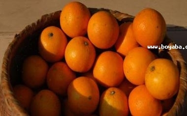 ۻt