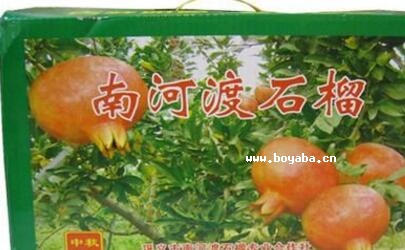 ϺӶʯ.jpg
