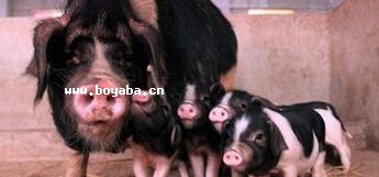 ﻨi