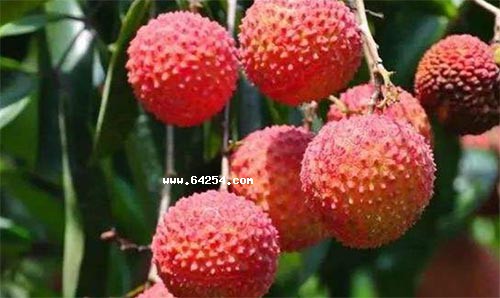 ֦rķ