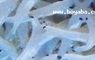 y~