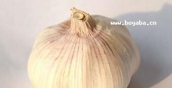 L(zhng)ƴ