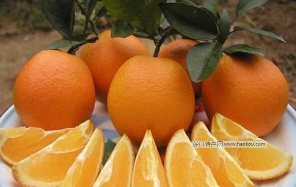 Ě