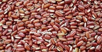ꃱtС