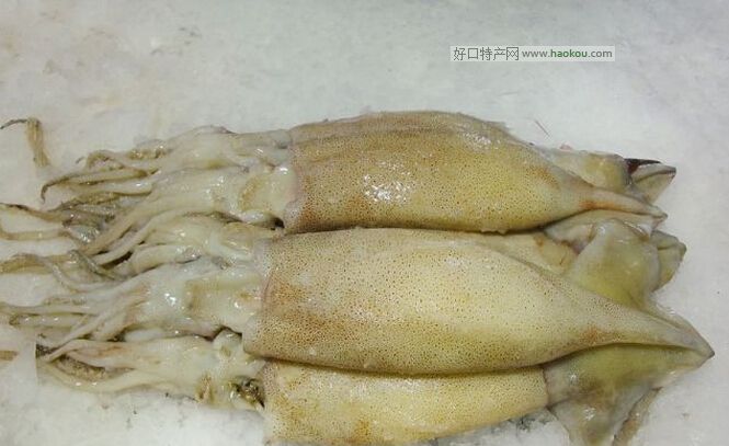 本港魷魚.jpg