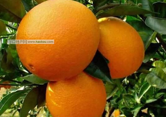½Ě