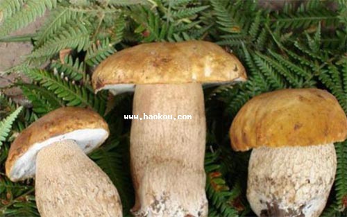 ˮ_