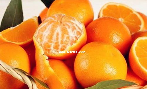 βxóԵӣ