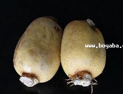 F(tun)ź